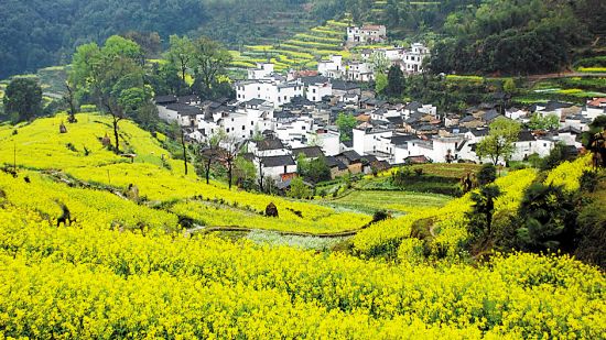 婺源江岭风光(婺源旅游集团供图)