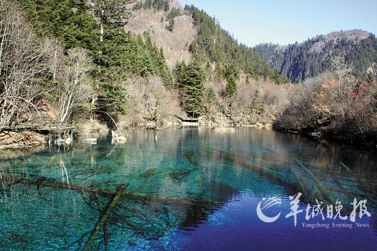 九寨沟春水如碧(刘星彤摄)