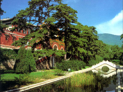 早春香山 (新浪配图 来源：北京市公园管理中心)