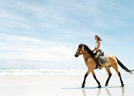 马术瘦身 (新浪旅游配图)