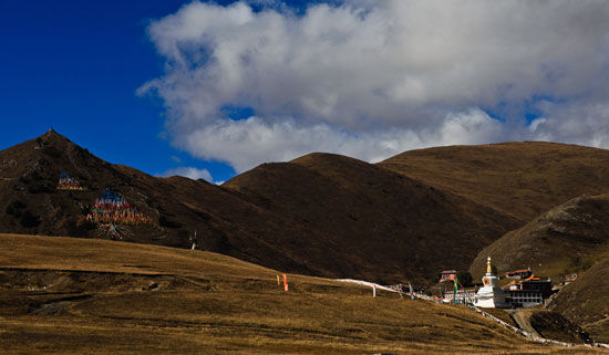 塔公草原(蔡彤摄)