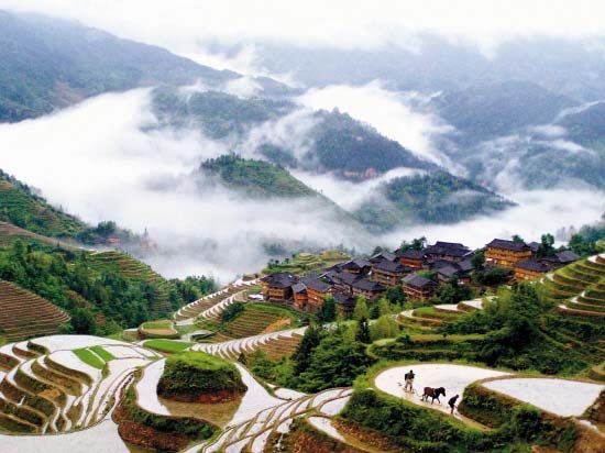 广西龙脊大寨村的农民在高山梯田里耕作(新华社 喻湘泉 摄)