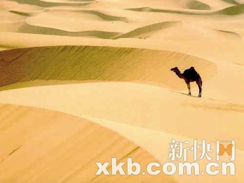 大古城沙漠