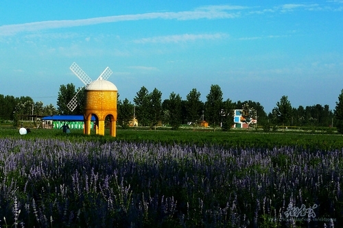 布拉格农场(图片来源：新浪博主 雨刷音乐)