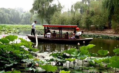 紫竹院赏荷(新浪博主：大漠孤烟) 