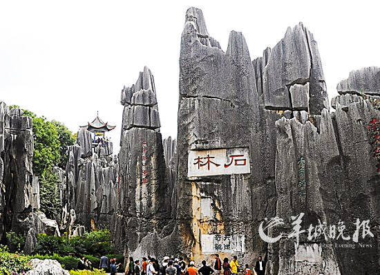 游客在云南石林景区游览(新华社供图)