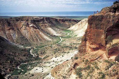 　澳大利亚宁格鲁海岸(图片来源：Tourism WA via UNESCO)