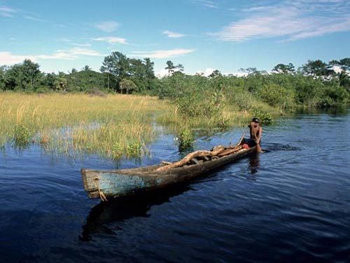 洪都拉斯雷奥普拉塔诺生物圈保护区(图片来源：Hemis/Alamy)