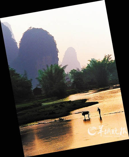 阳朔遇龙河风光，叫人想起“只羡鸳鸯不羡仙”的句子 (张喆 CFP)