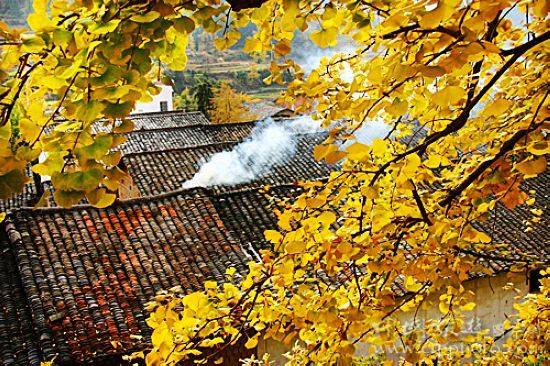 坪田镇径洞村的秋色可媲美婺源 (郭逢文摄)