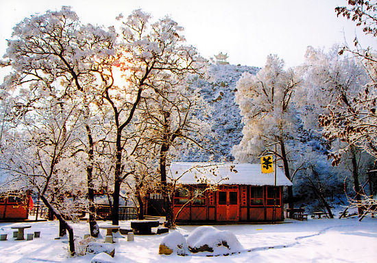 银川景区内的一家茶馆(银川市旅游局供图)