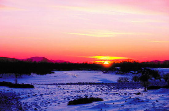 呼伦贝尔雪景(呼伦贝尔旅游局供图)