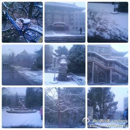 北大初雪(图片：)