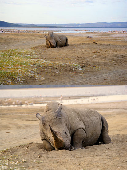 长短焦距对比图