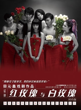 《红玫瑰与白玫瑰(时尚版)》