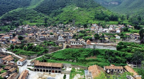 绿意盎然(摄影：王建忠)