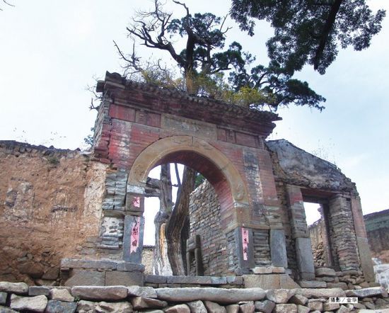 灵水村古树(摄影：金华)