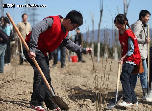 身体力行来植树(摄：佚名)