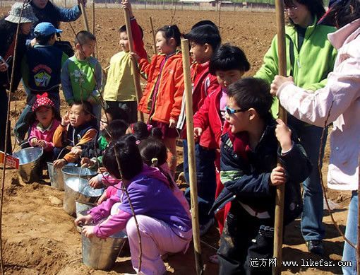 欢乐的植树节 (摄：佚名)