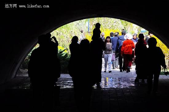 花节中如织的游客(zyl4906摄)