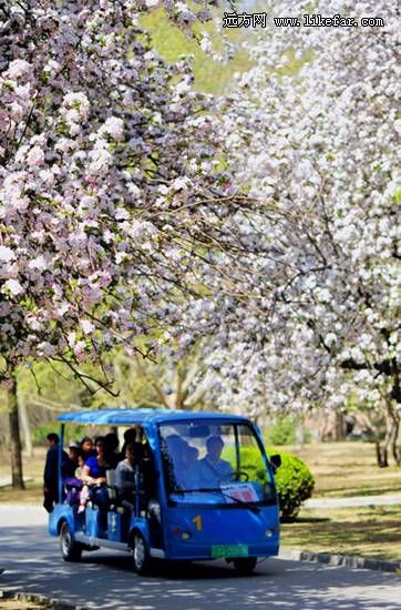 赏心乐事(阿滋猫摄)