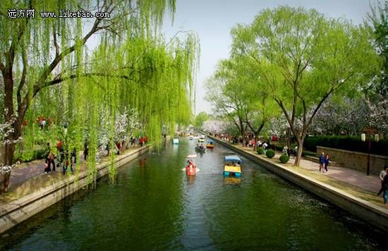 柳姿花影(wangdaheng摄)