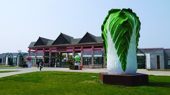 上海 奉贤 都市菜园 (微图网