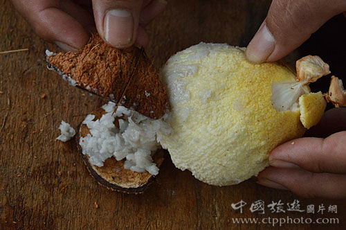 从老椰子里取出淡黄色的椰肉，刮取表面的油块，就能涂抹在身上防晒(郭惠仪摄)