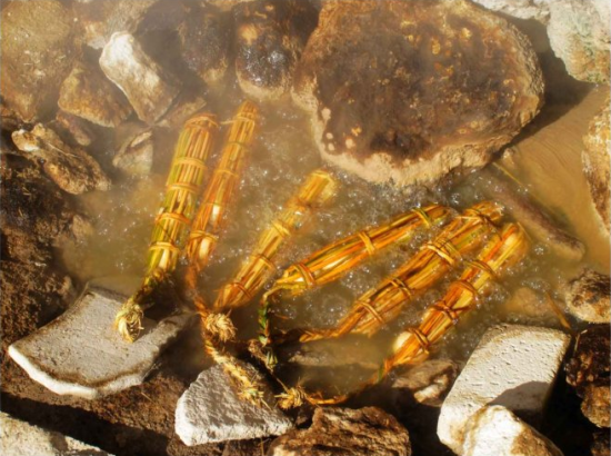 鸡蛋串着卖(图：新浪博客 作者：于子)