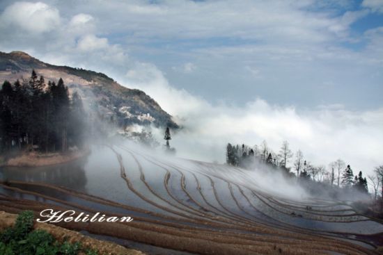 雾中的哀牢山(图：POCO网 鲁绿 摄)