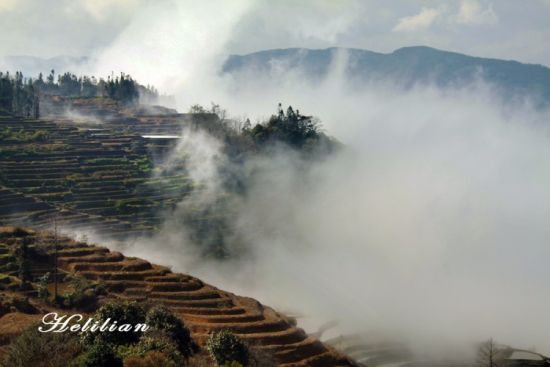 雾中的哀牢山(图：POCO网 鲁绿 摄)
