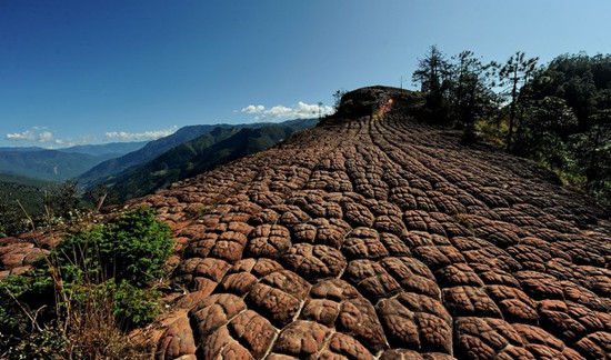 壮观的千龟爬行(图：POCO网 达楞勒 拍摄)