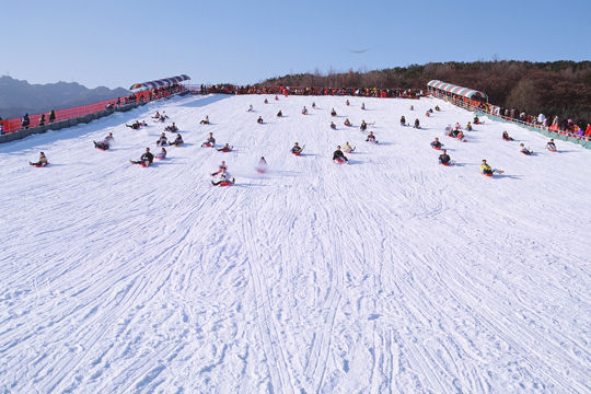 首尔乐园雪橇场 