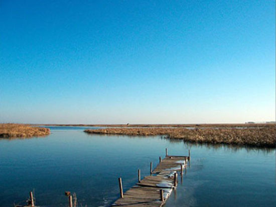 漫步在圣水湖畔 感受初春的气息