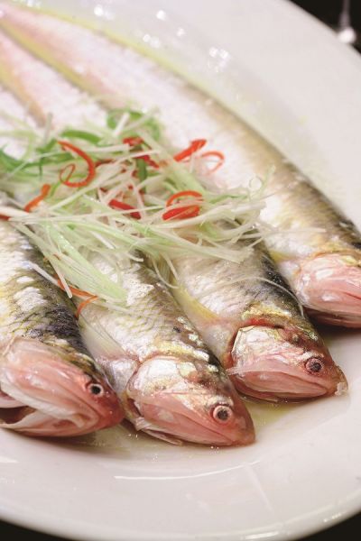 泰州旅游博客_泰州自由行博客_新浪旅游