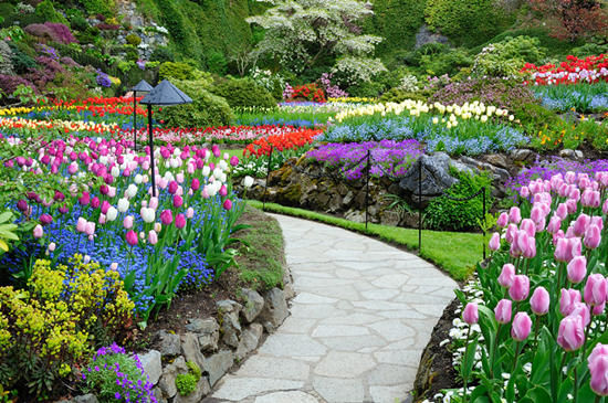 布查德花园(Butchart Gardens)
