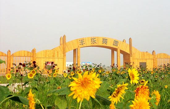 盘点郑州周边农家乐 假期出去不扎堆了