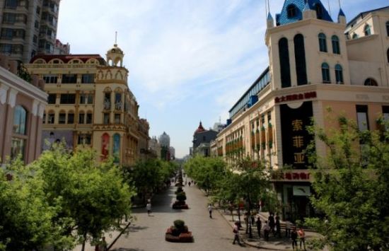 哈尔滨小奴第九部