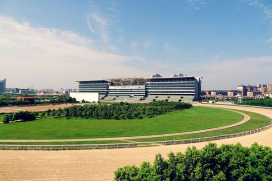 去顶级赛马场变身飒爽骑师