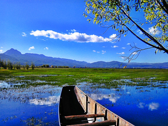 拉市海(图片来源：山寨苹果 MEIZU官网)