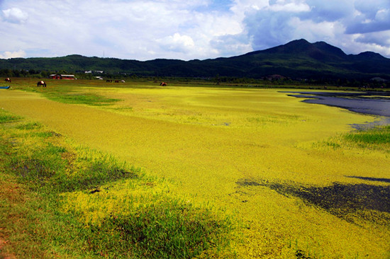  拉市海(图片来源：壹夜輸poco )