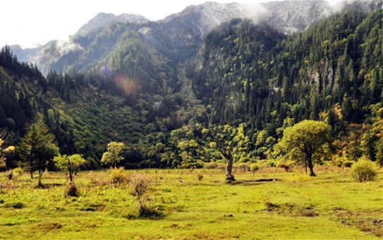 甘海子(图片来源：和若清风)