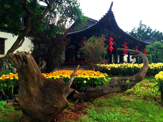 朱家花园内景(图片来源：@时光是旅行和记忆的橡皮擦)