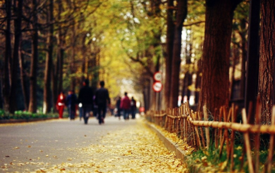 云南大学校本部(来源：@张小小bing)