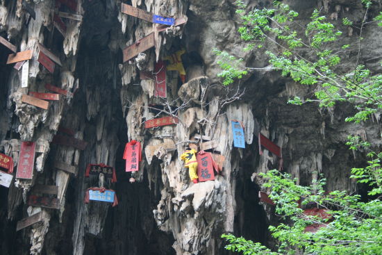 钟乳悬匾迎春燕