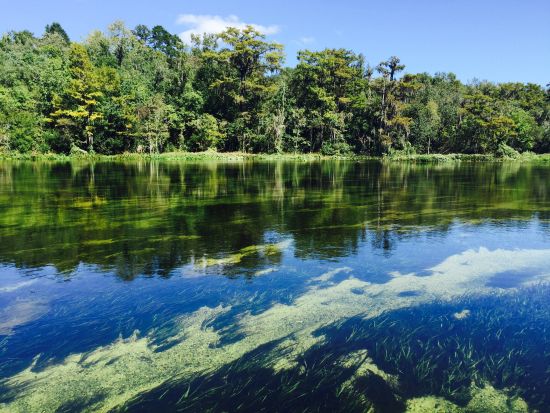 Wakulla Springs River Cruise
