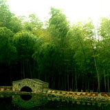 爱在城里城外 南京三大情侣浪漫好去处(组图)