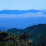 夏天到天目山避暑度假去(组图)