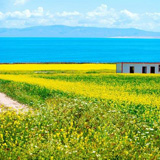 避暑胜地莫干山 世界近代建筑博物馆(图)