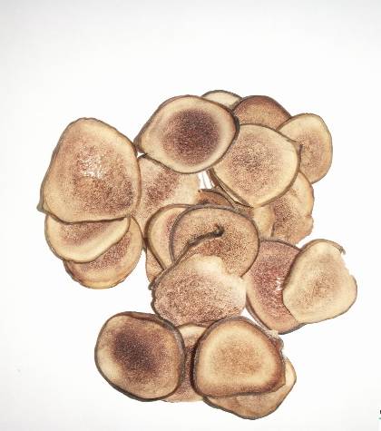 辽宁铁岭特产 鹿茸(图)